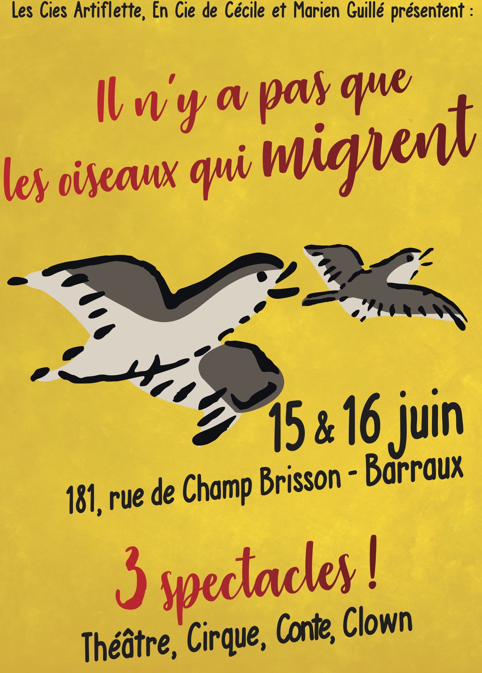 Affiche OIseaux